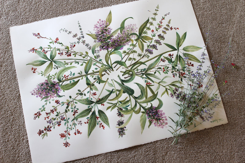 Botanical painting on watercolor paper by artist Marsha Bowers