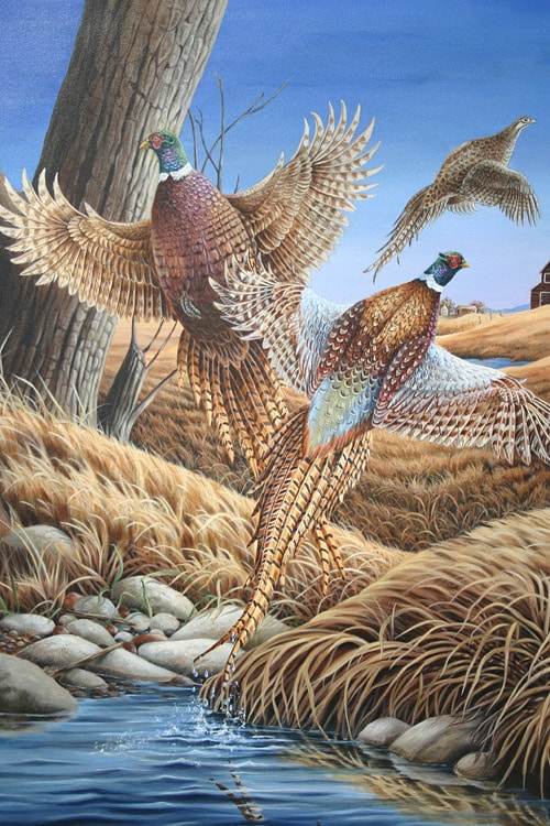 Pheasant Oil painting by artist Marsha Bowers. On Canvas